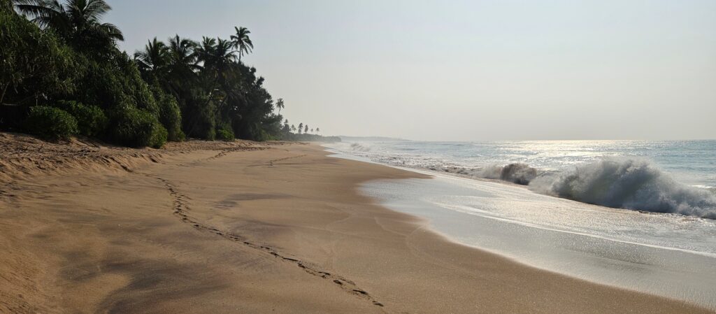 Sri Lanka einsamer Strand mit Fußspuren / Lonely beach in Sri Lanka with footprints in the sand