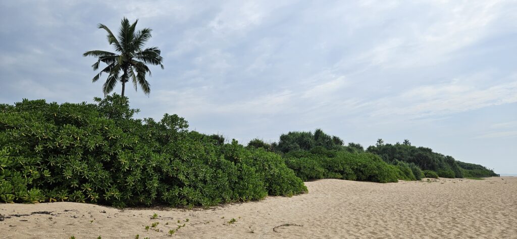 Strand zwischen Marakolliya und Rekawa