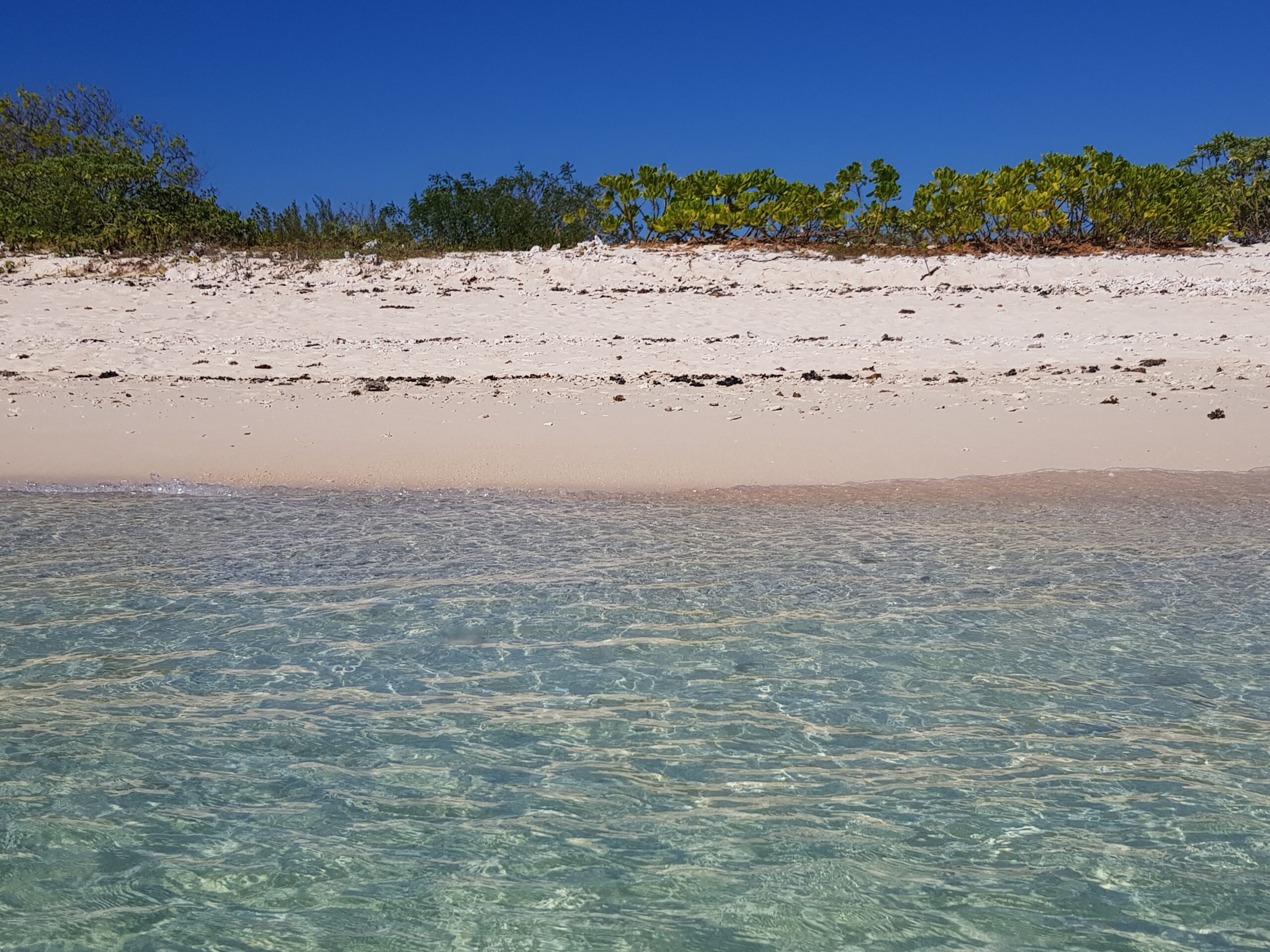 Philippines, protected natural beach with clear shallow water, white sand and native coastal vegetation