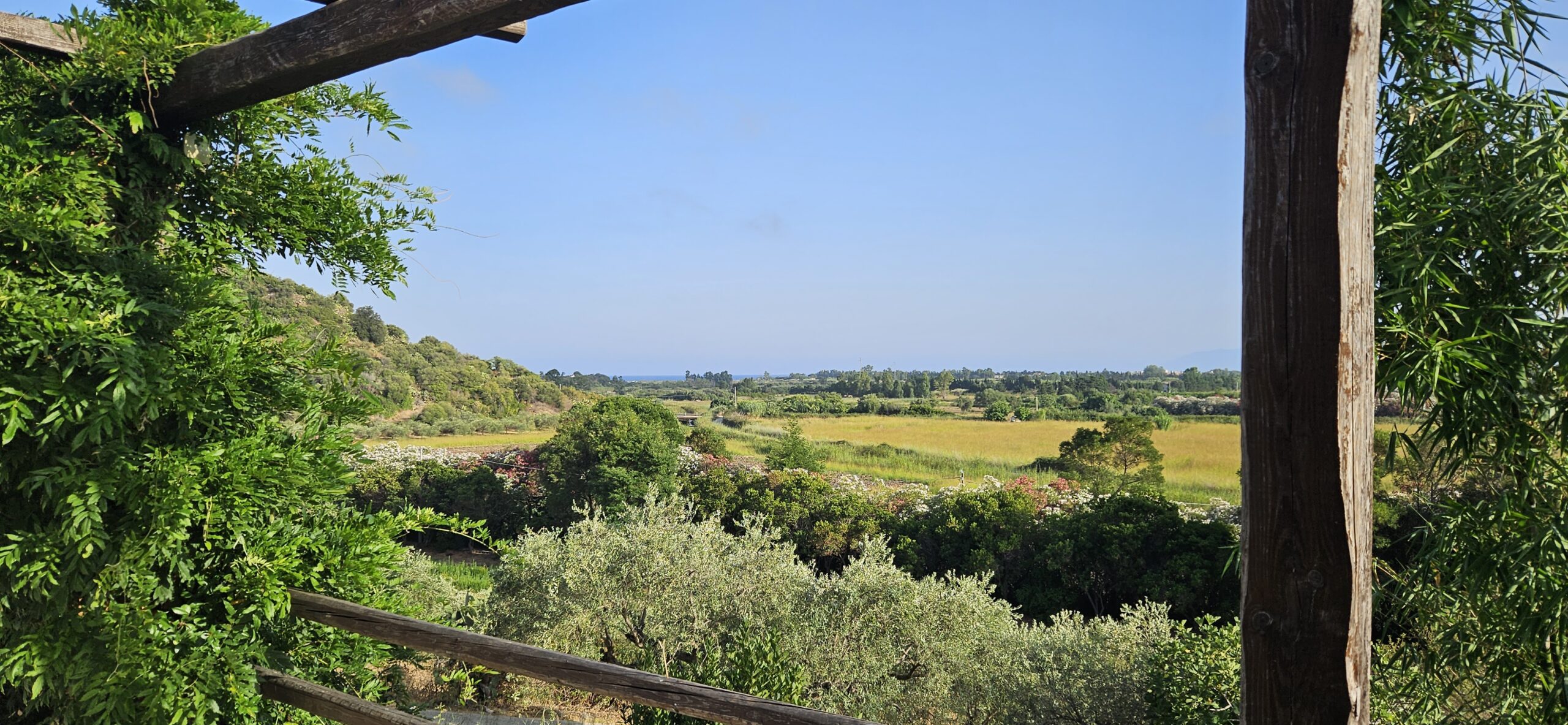 Mediterranean vegetation near Orosei, Sardinia with olive trees, maquis shrubs and sea view