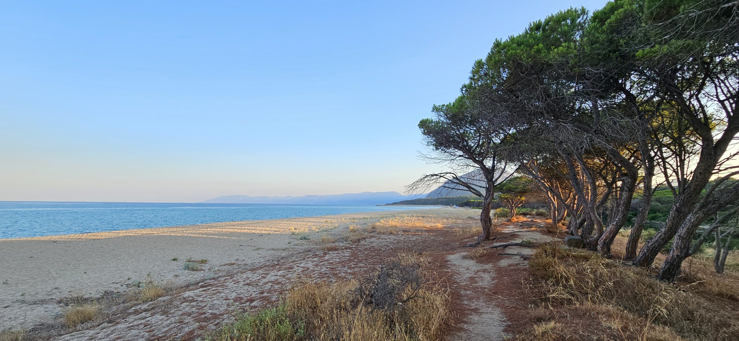 Küste bei Orosei, Sardinien – Spiaggia Osalla mit feinem Sandstrand, türkisblauem Meer und Pinien / Coast near Orosei, Sardinia – Spiaggia Osalla with fine sandy beach, turquoise sea and pines