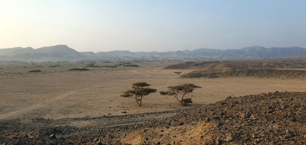 Ehemalige Karawanenwege im Wadi el Gemal in Ägypten durch die östliche Wüste