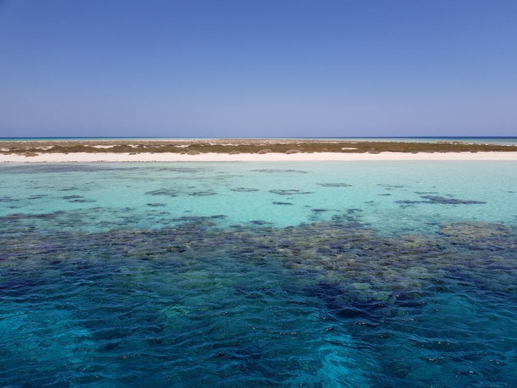 Ägypten, Marsa Alam, Rotes Meer, naturgeschützte Insel mit salztoleranten Pflanzen und flachem Korallenriff
