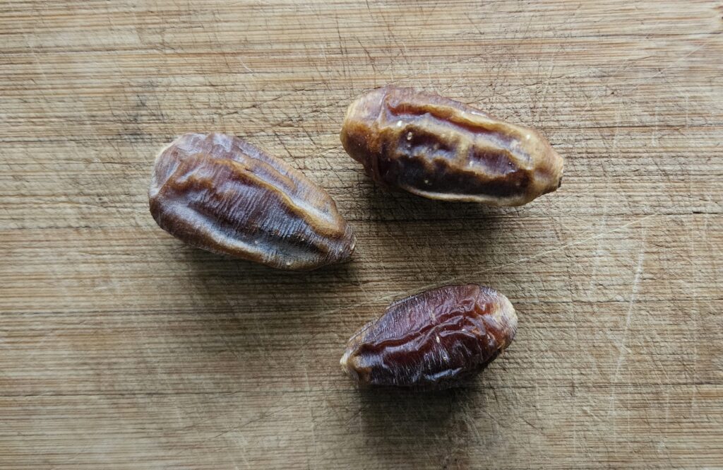 Wüstendatteln (Balanites) aus dem Wadi el Gemal, traditionelle Frucht als Snack und Nahrungsmittel der Wüste Ägyptens