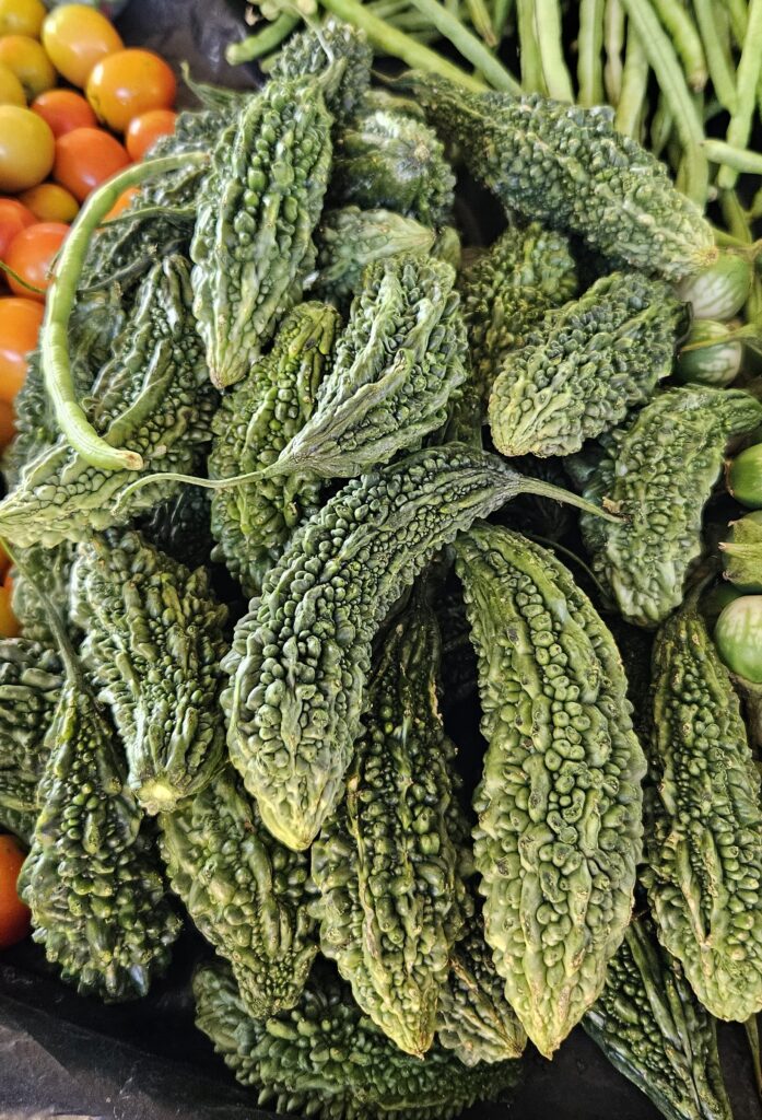 Fresh bitter melons (Momordica charantia), green warty fruits sold at a local market in Sri Lanka