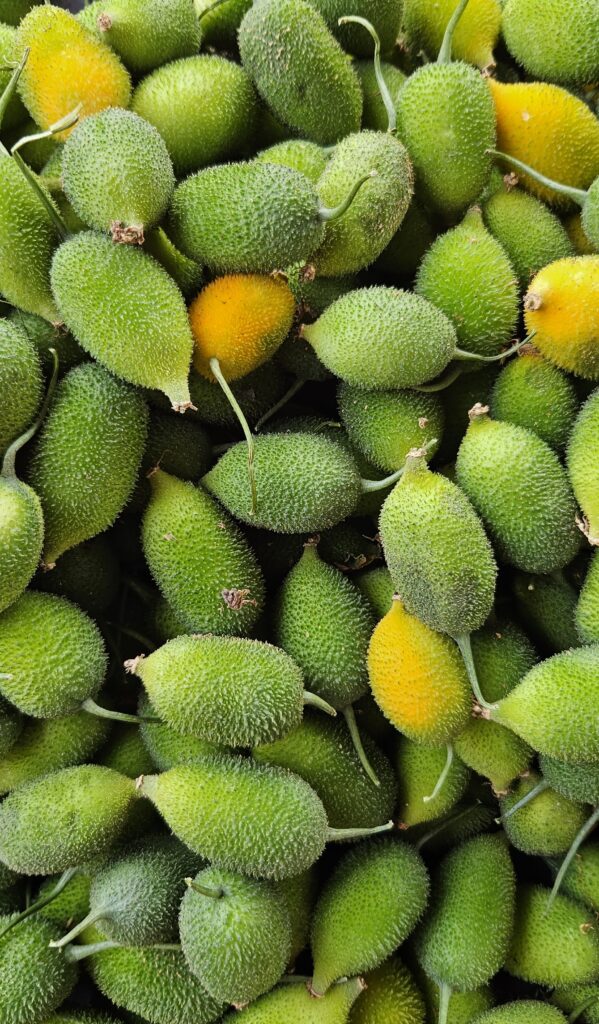 Fresh spiny gourds (Momordica dioica) with green-yellow spiky skin at a local market in Sri Lanka