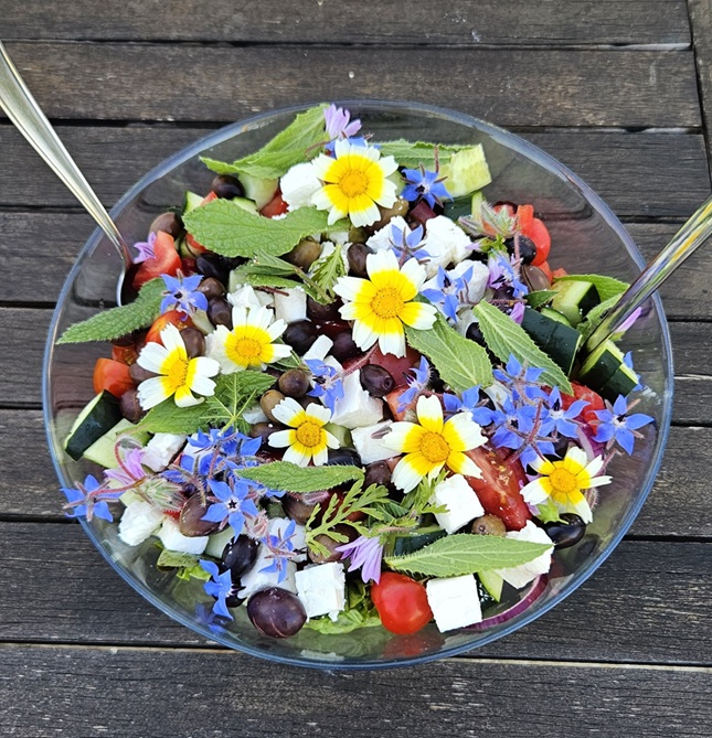 Handgepflückter Salat aus Blüten- und Heilpflanzen in Portugal